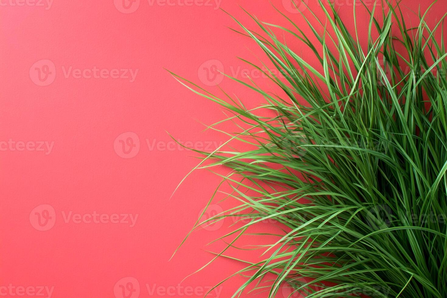 Top view photorealistic Grass Tree, plant set on a vibrant background photo