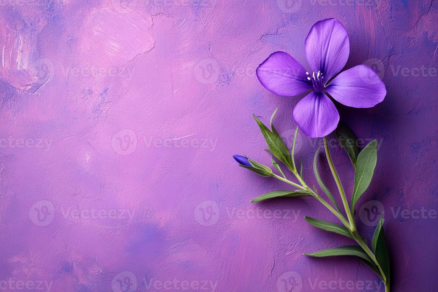 Top view Harebell on a vibrant background, plant setting photo