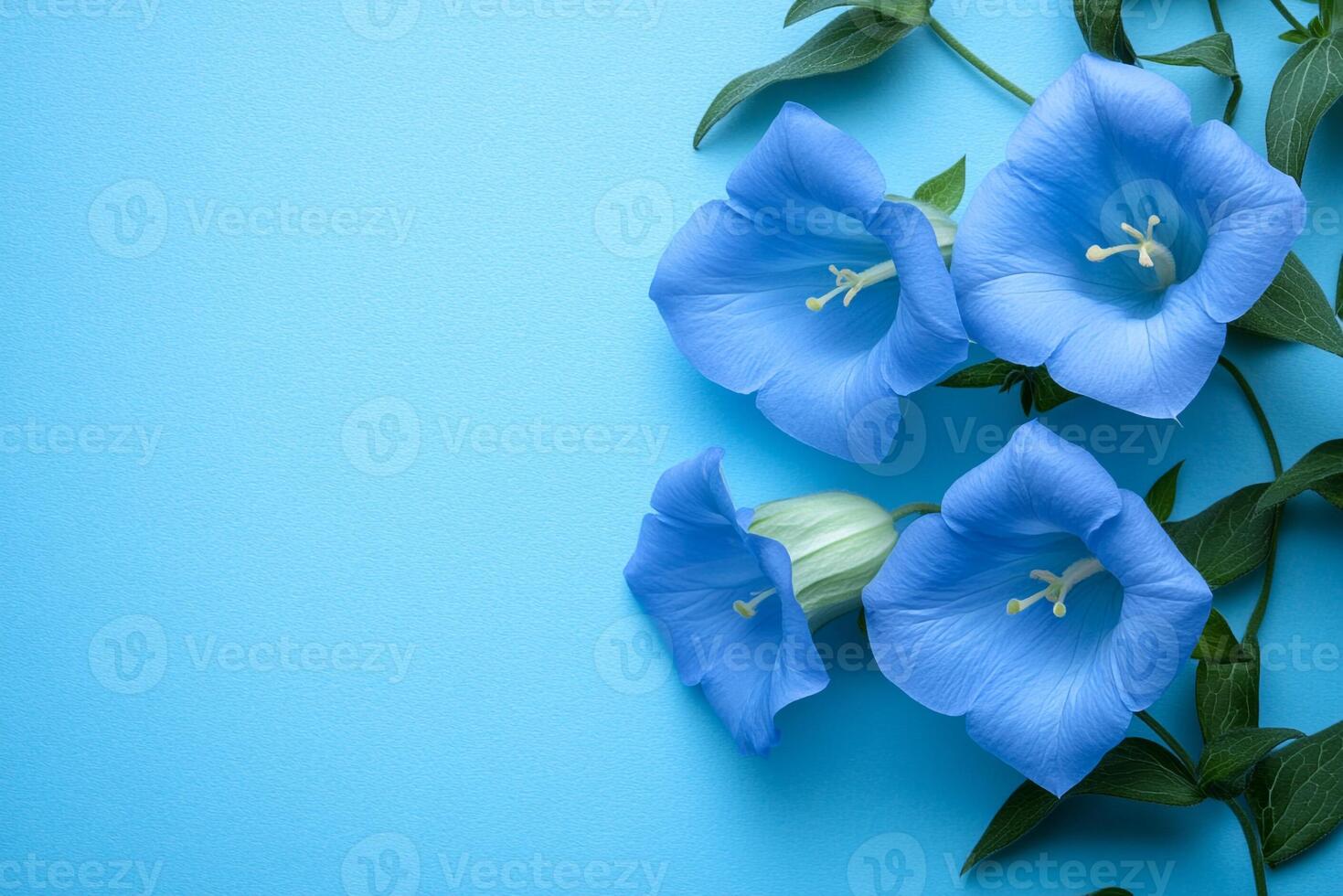 Top view photorealistic Harebell, plant set on a vibrant background photo