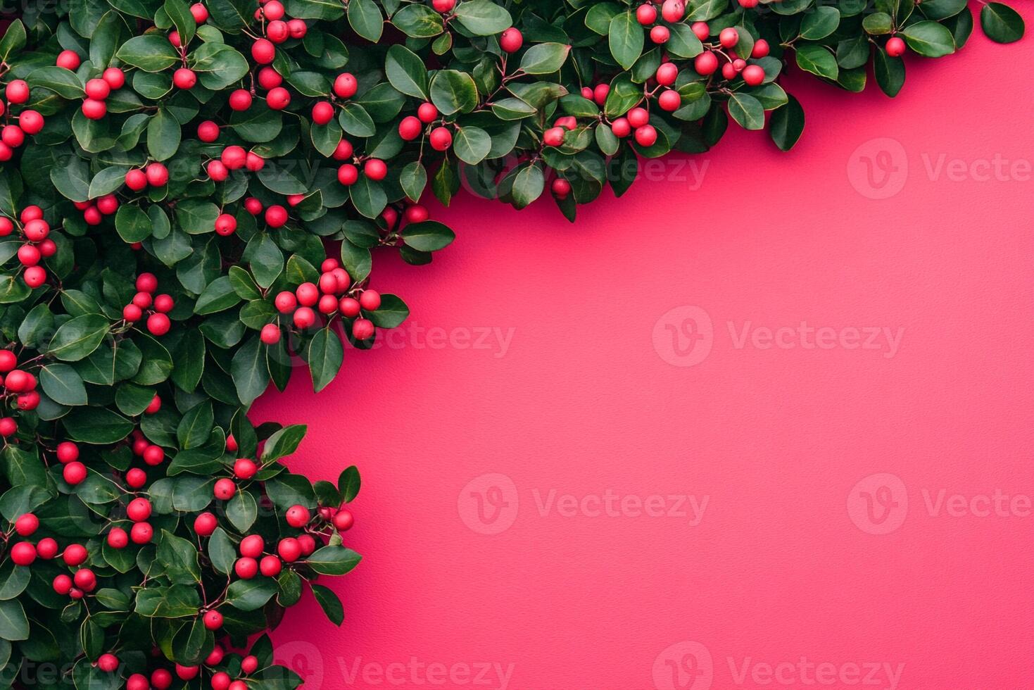 Top view Hawthorn Bush on a vibrant background, plant setting photo