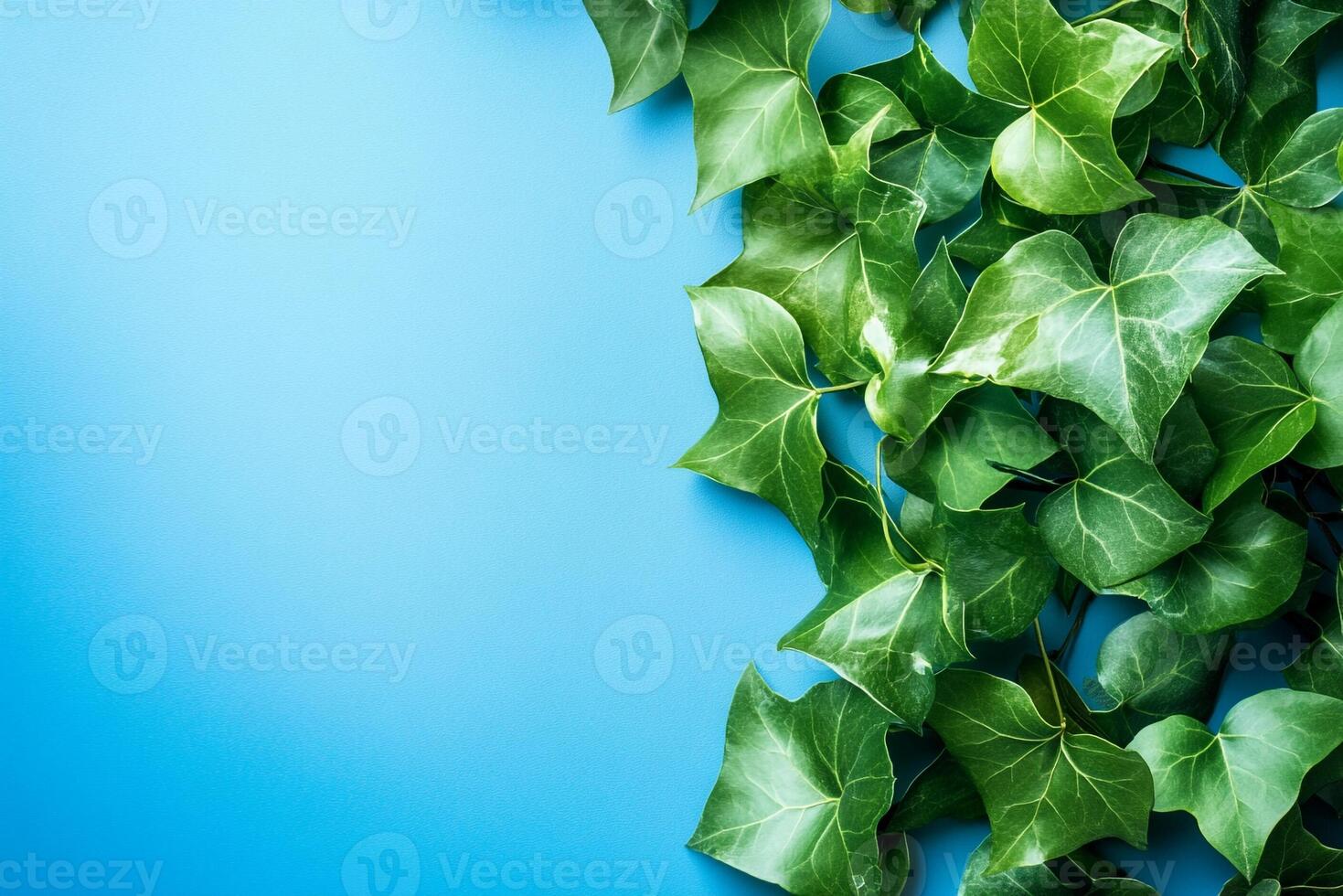 Hedera helix on a vibrant background, photorealistic top view Hedera helix plant photo