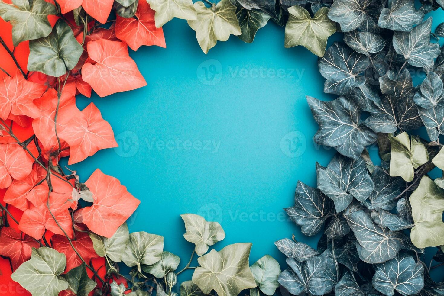 Top view Hedera helix on a vibrant background, plant setting photo