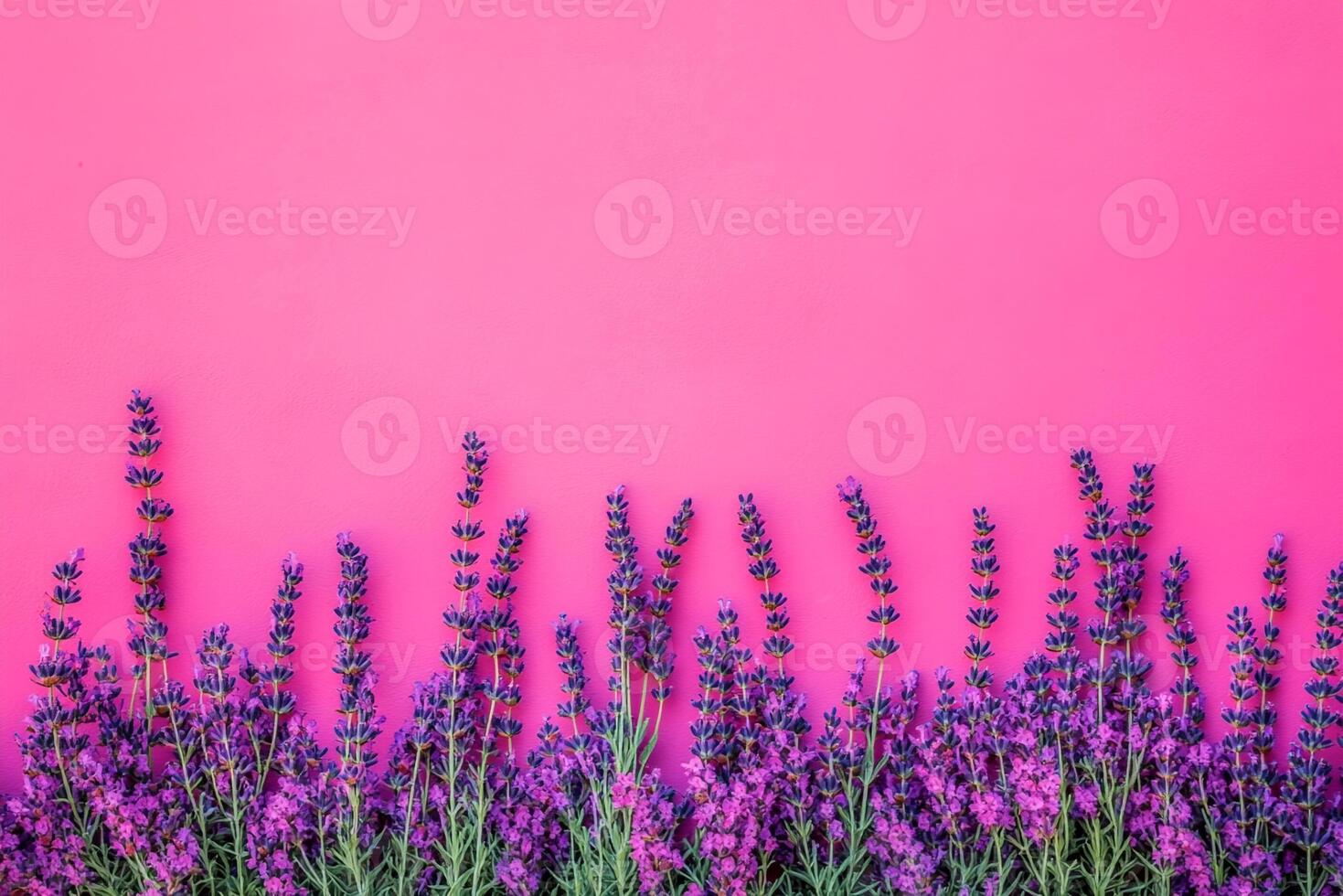 Lavender on a vibrant background, photorealistic top view Lavender plant photo