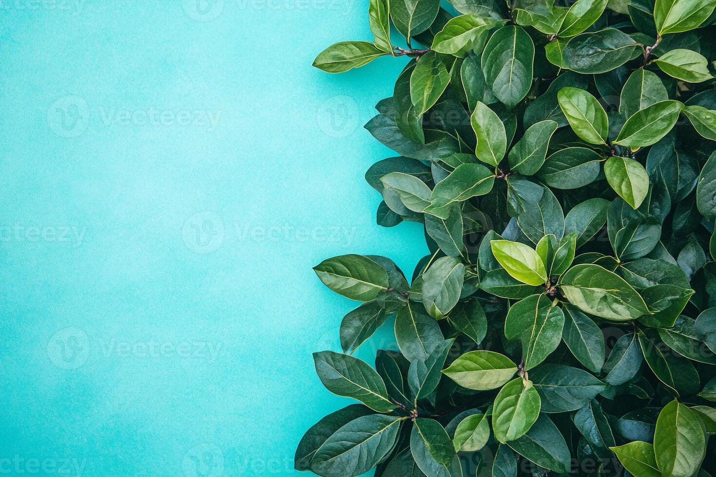 Ligustrum on a vibrant background, top view photorealistic plant photo