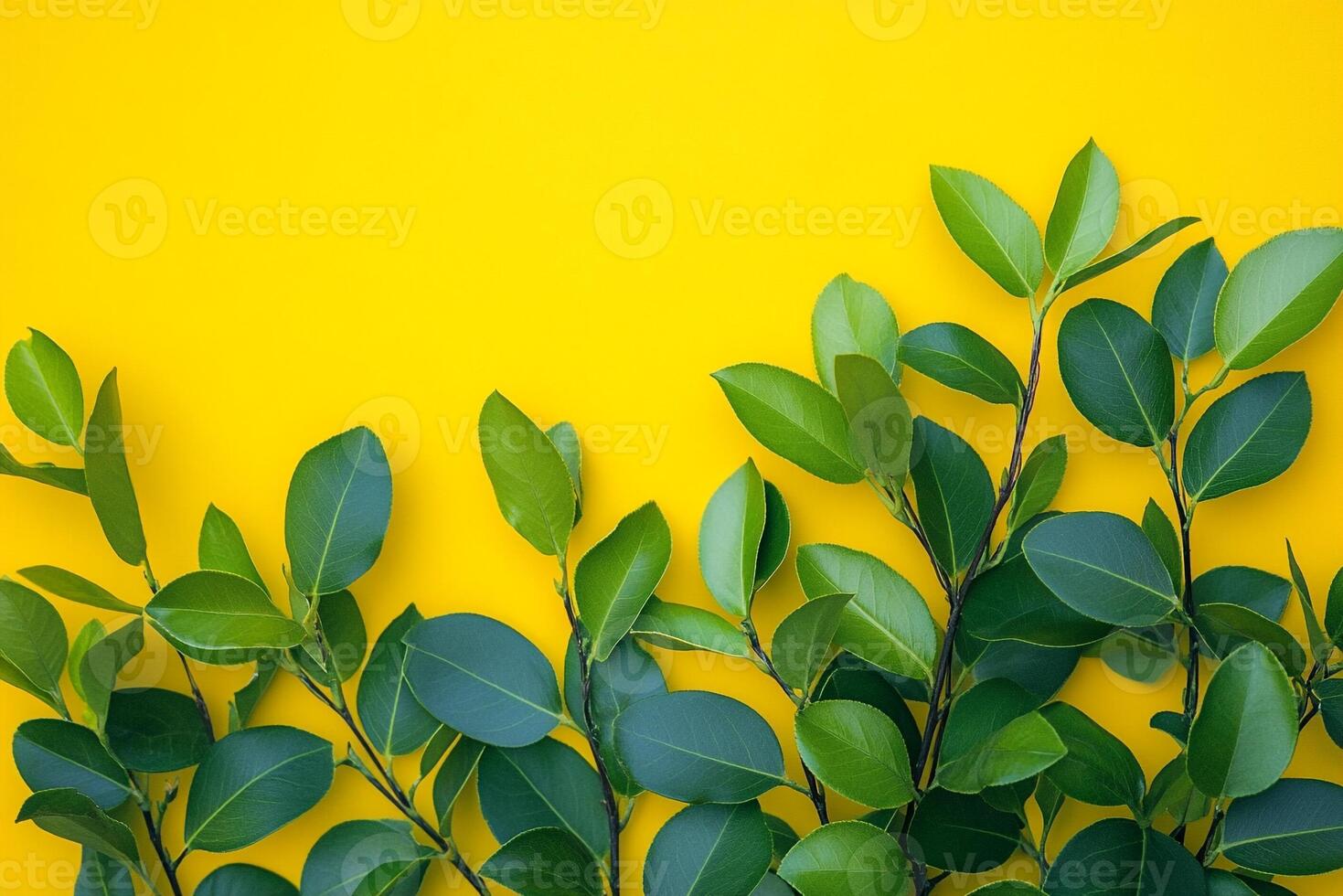 Ligustrum on a vibrant background, photorealistic top view Ligustrum plant photo