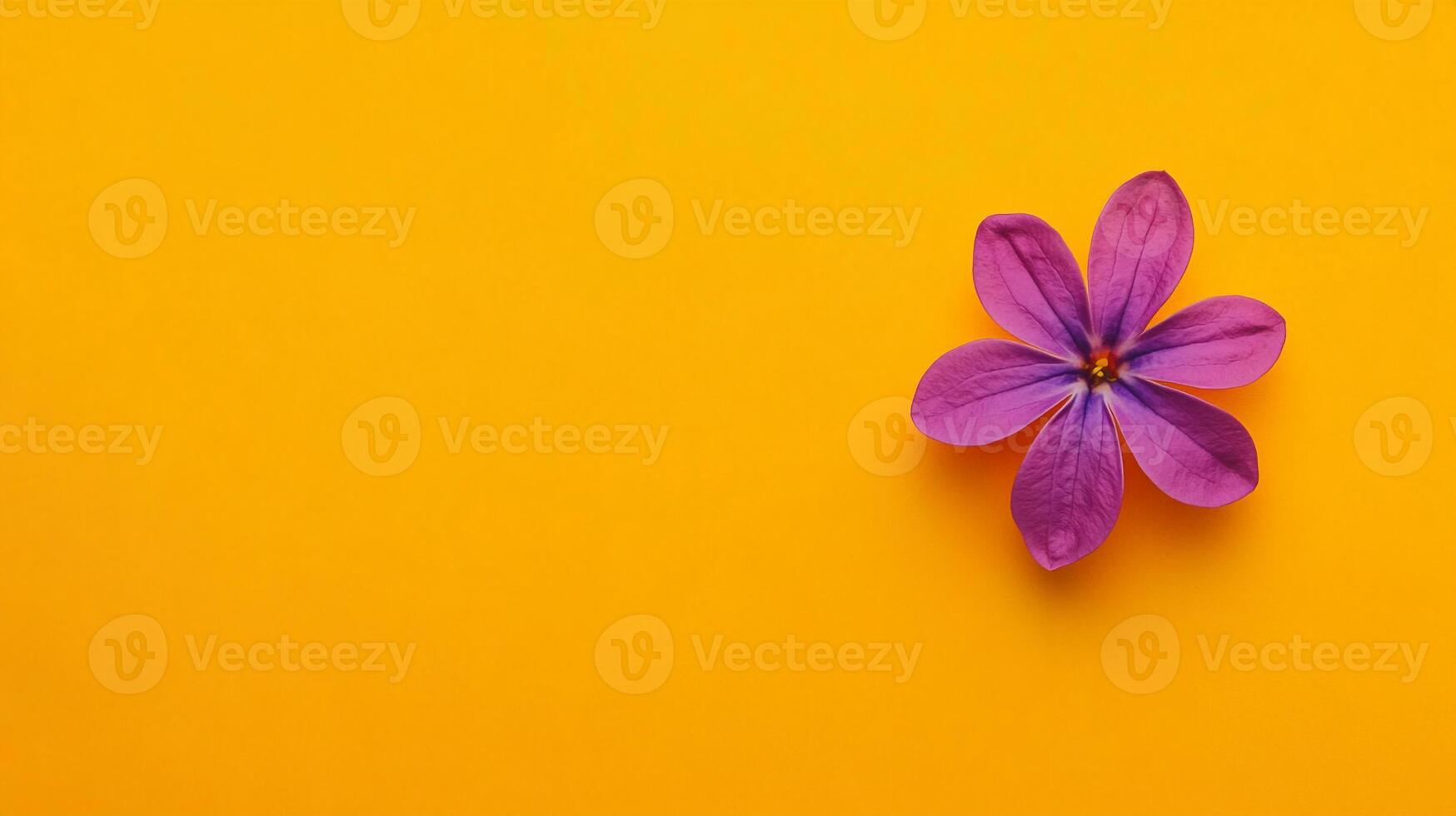 Top view Lilac on a vibrant background, flower setting photo