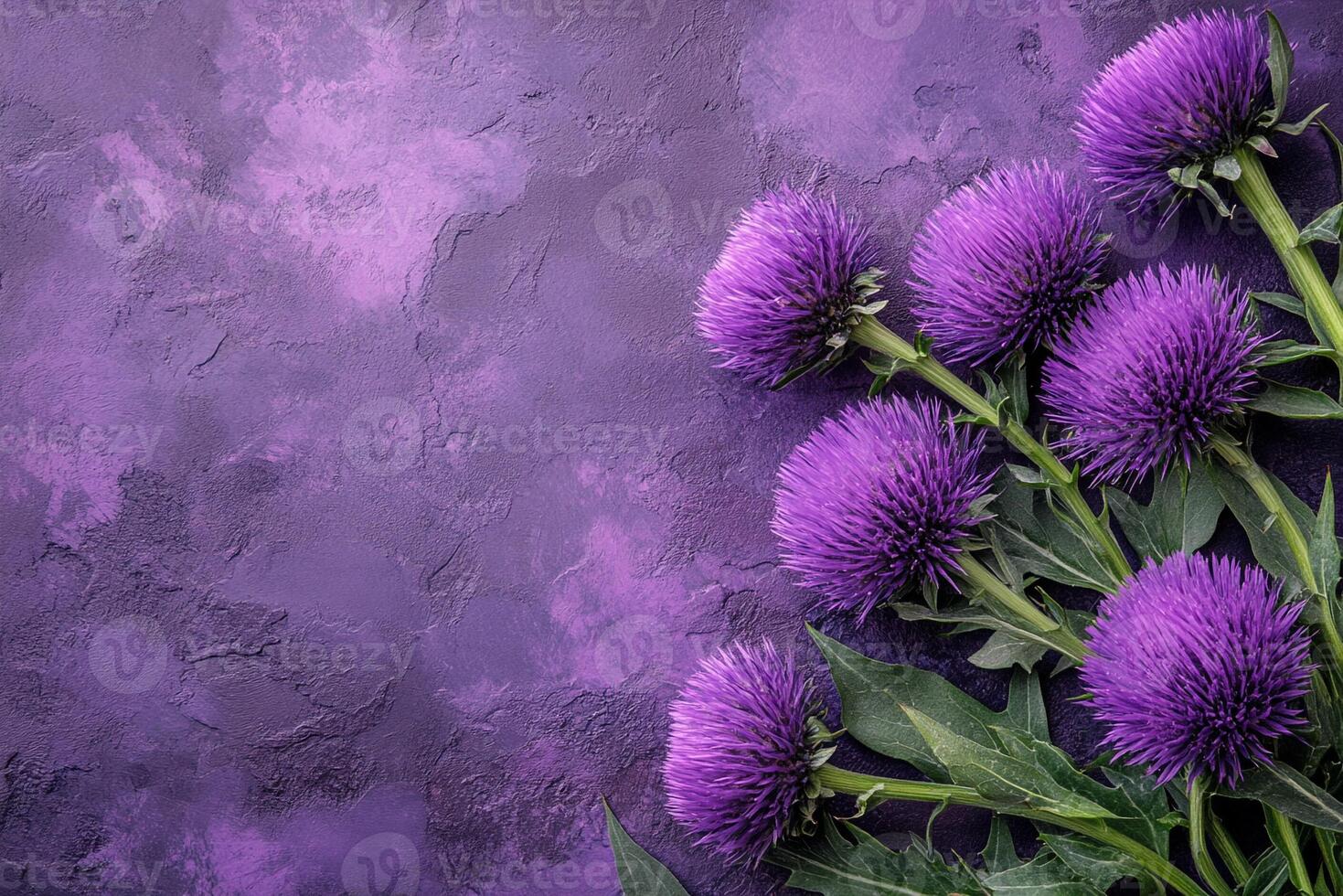 Top view Milk Thistle on a vibrant background, plant setting photo