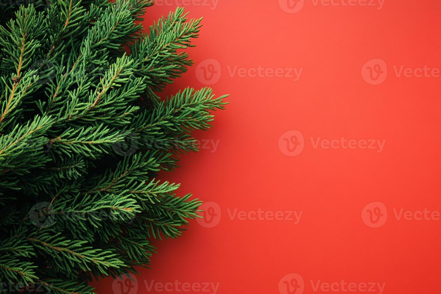 Metasequoia on a vibrant background, photorealistic top view Metasequoia plant photo
