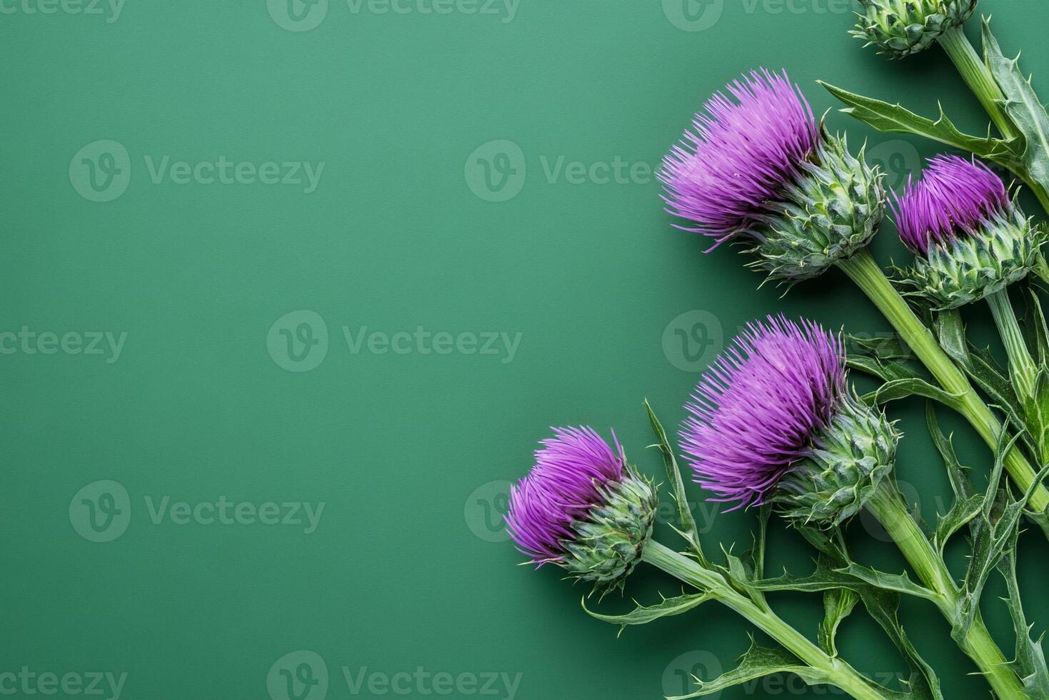 Top view photorealistic Milk Thistle, plant set on a vibrant background photo