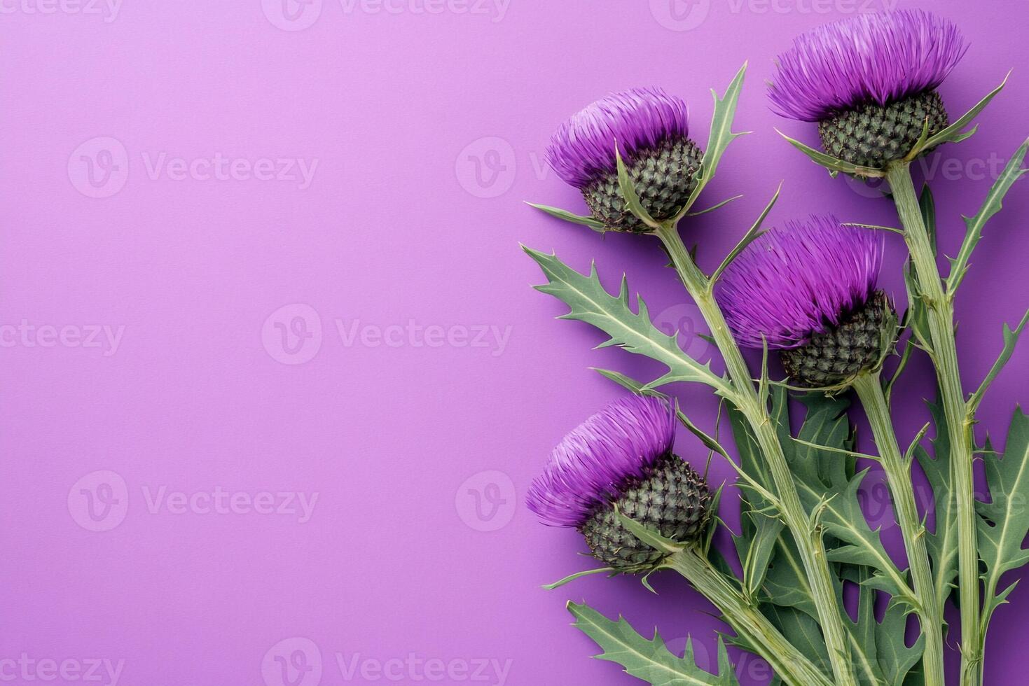 Milk Thistle on a vibrant background, photorealistic top view Milk Thistle plant photo