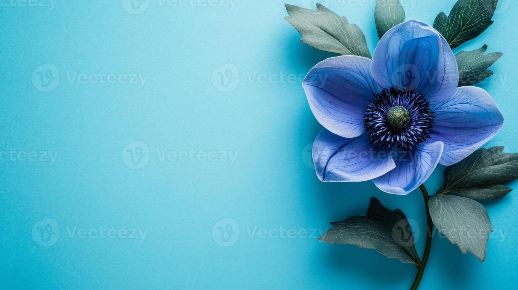 Top view Pasque Flower on a vibrant background, flower setting photo