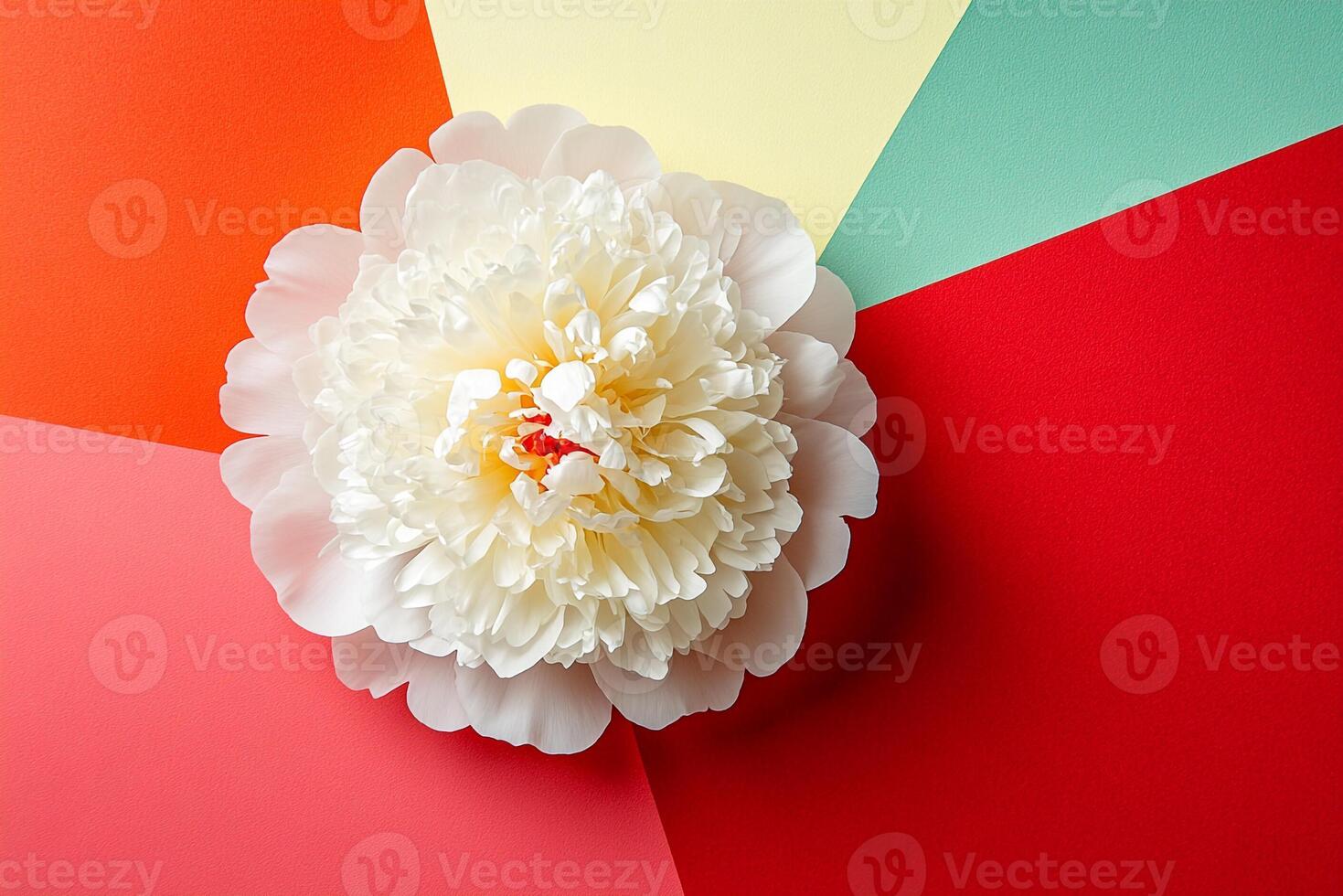 Peony on a vibrant background, top view photorealistic flower photo