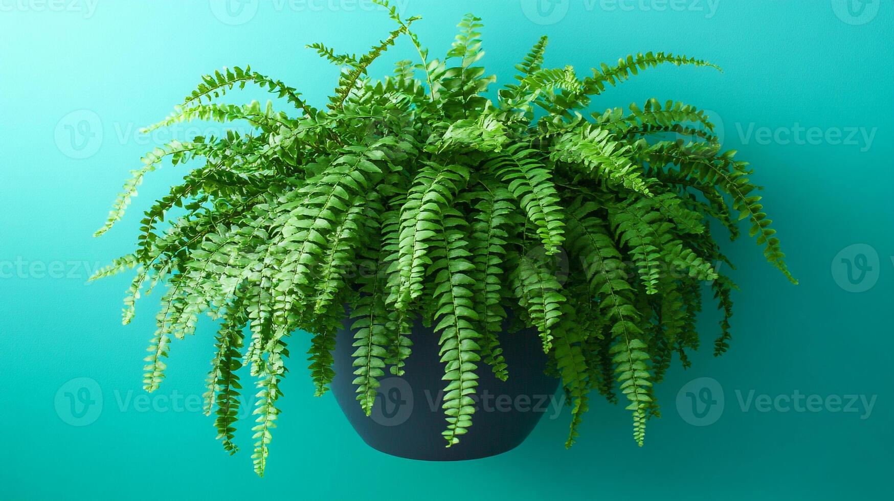 Shield Fern on a vibrant background, top view photorealistic plant photo