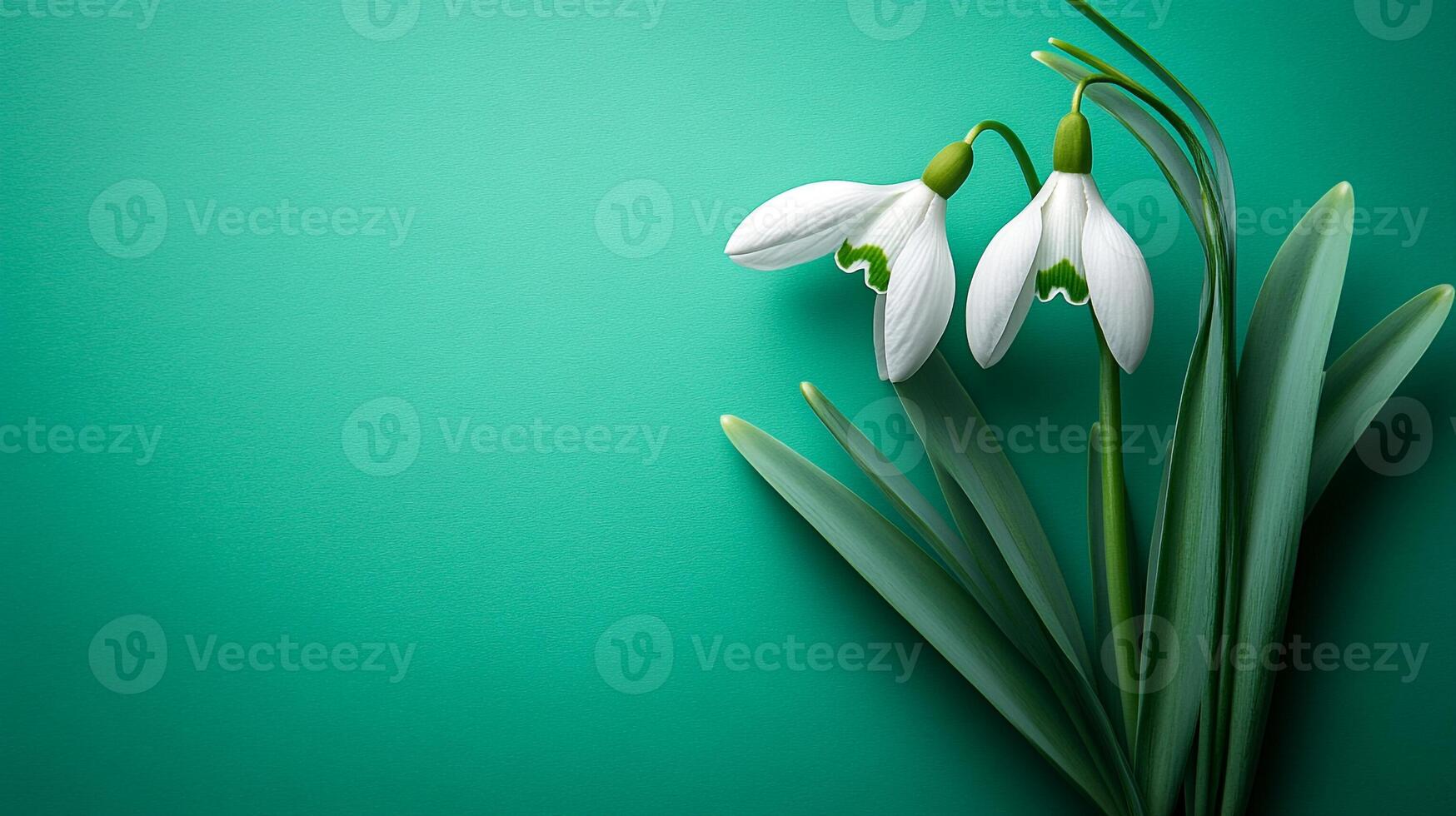 Snowdrop on a vibrant background, top view photorealistic flower photo