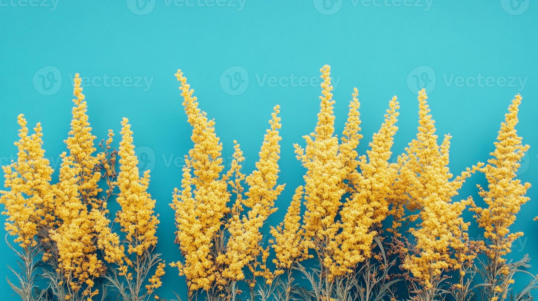 Solidago on a vibrant background, photorealistic top view Solidago plant photo