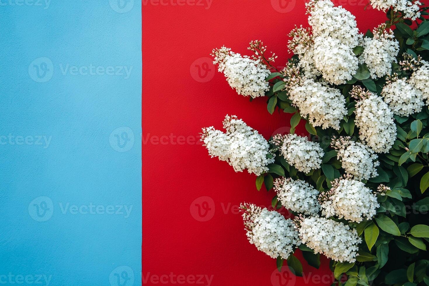 Top view photorealistic Spirea, plant set on a vibrant background photo