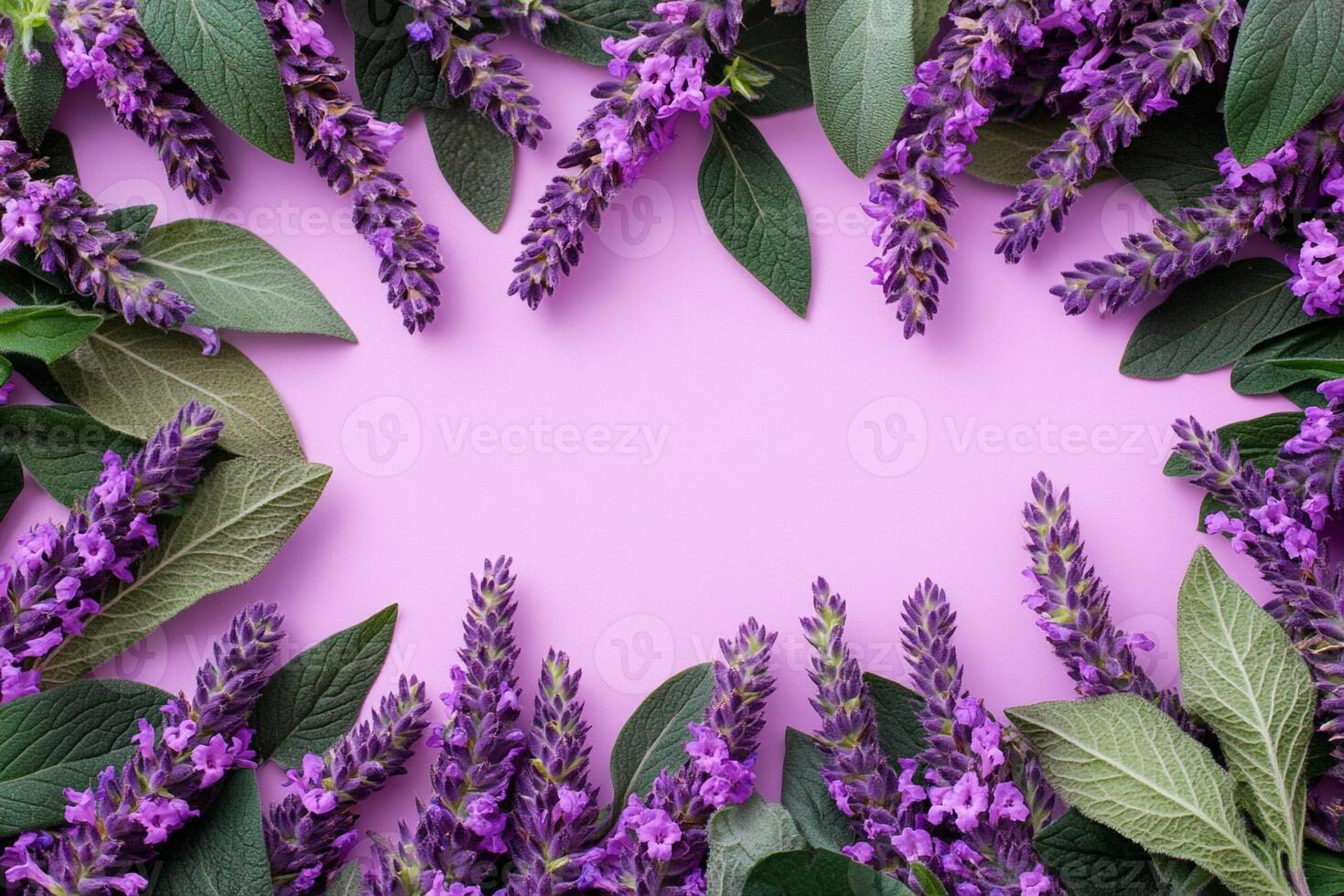 Top view photorealistic Stachys byzantina, flower set on a vibrant background photo