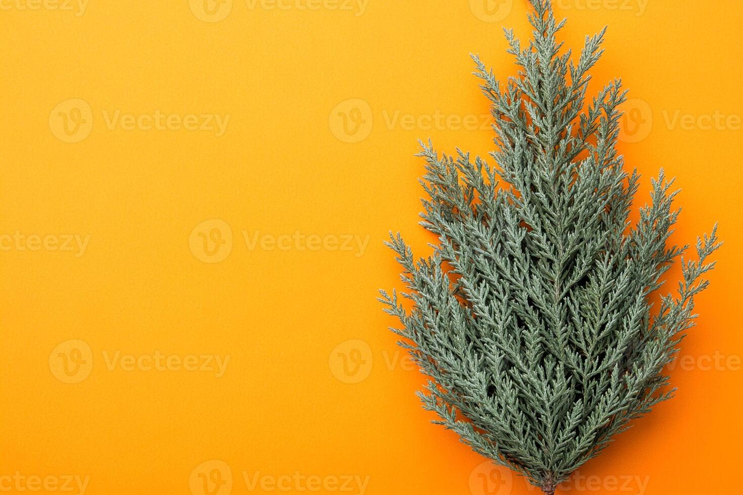 Top view photorealistic Statice, flower set on a vibrant background photo