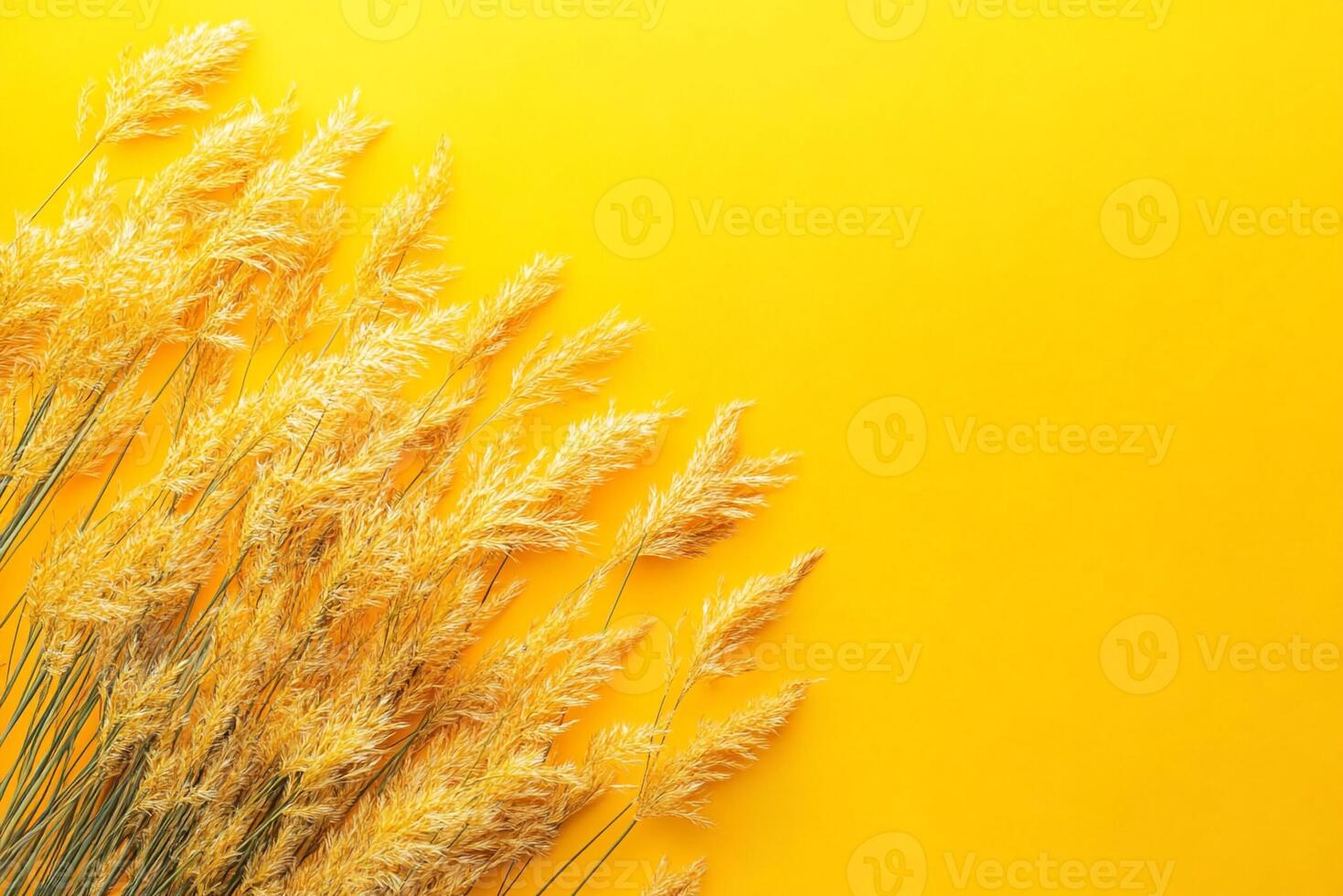 Stipa on a vibrant background, photorealistic top view Stipa flower photo