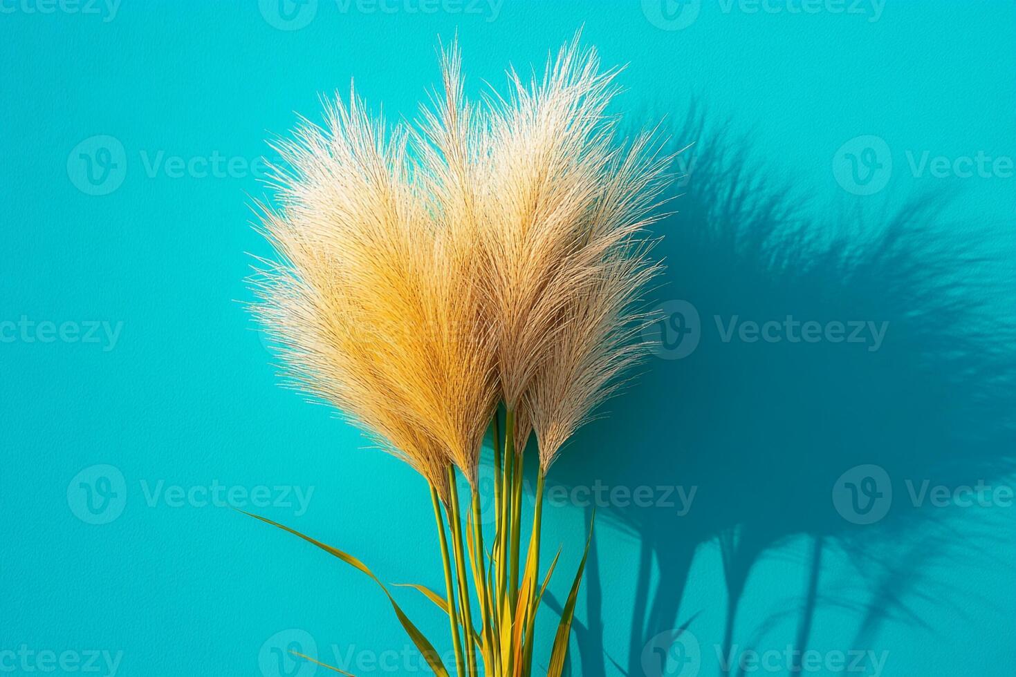 Stipa on a vibrant background, top view photorealistic plant photo