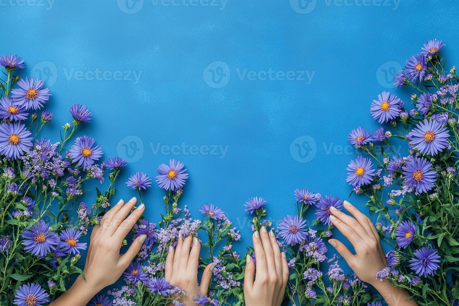 Stokes Aster on a vibrant background, top view photorealistic flower photo