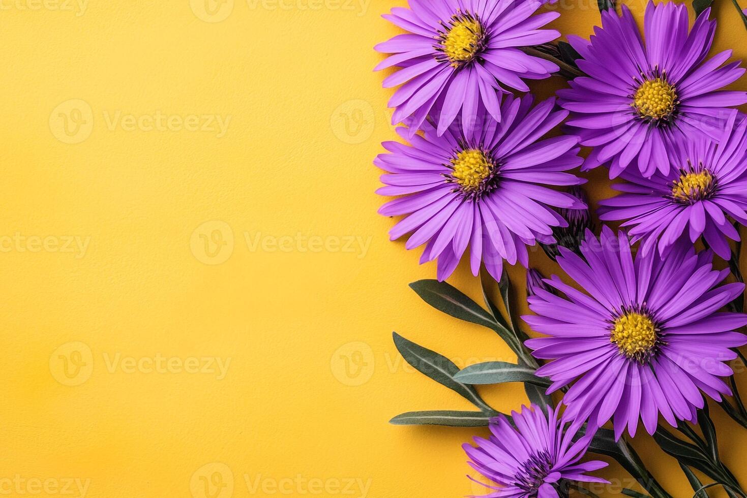 Top view Stokes Aster on a vibrant background, flower setting photo