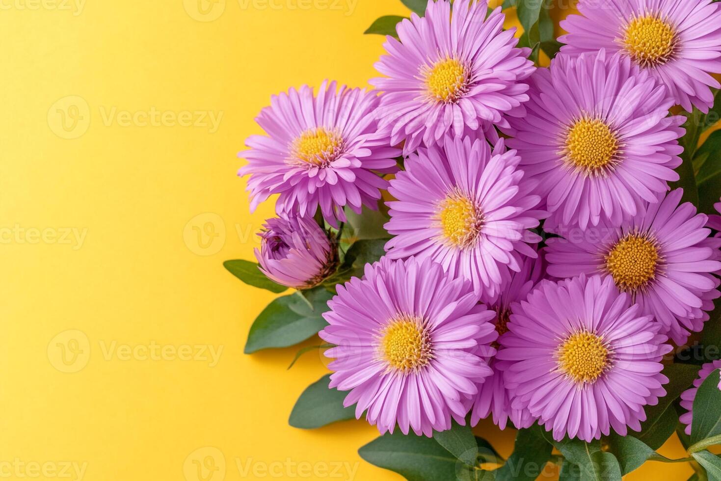Stokes Aster on a vibrant background, photorealistic top view Stokes Aster flower photo