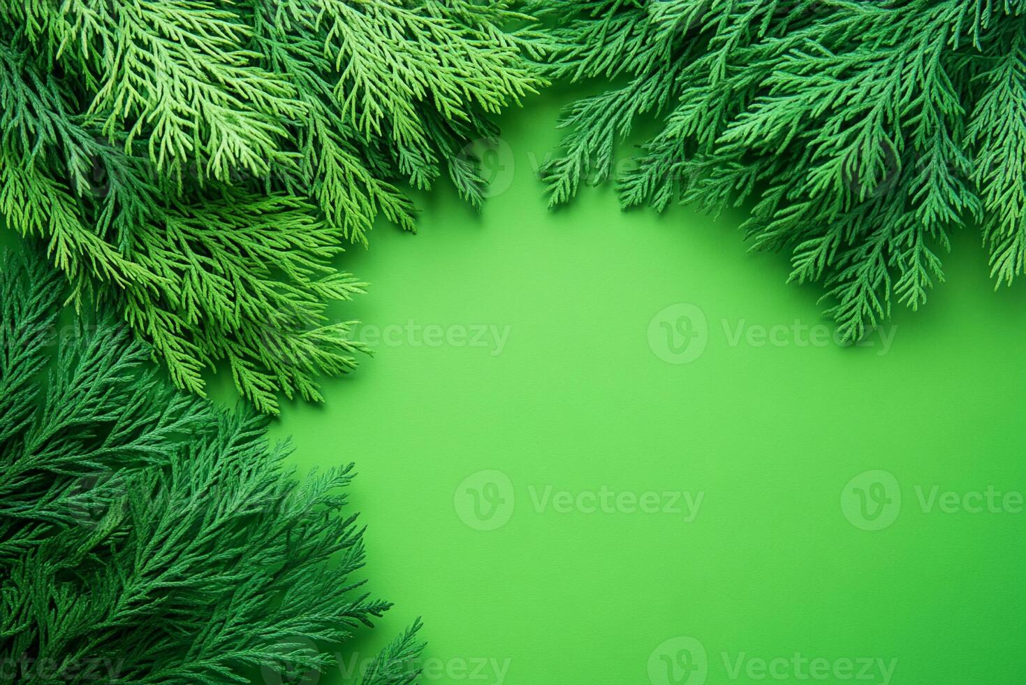 Top view photorealistic Taxodium, plant set on a vibrant background photo