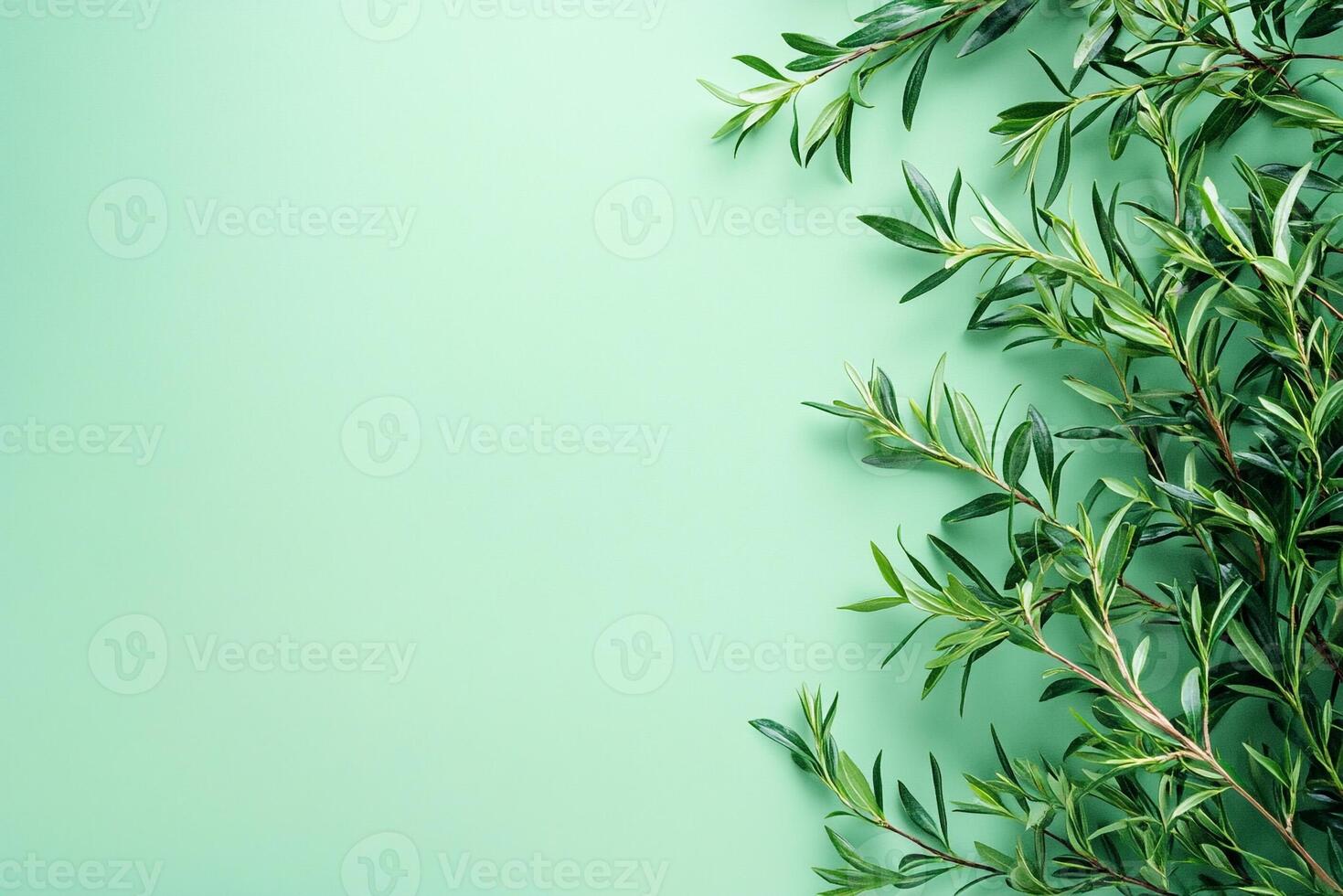 Tea Tree on a vibrant background, top view photorealistic plant photo