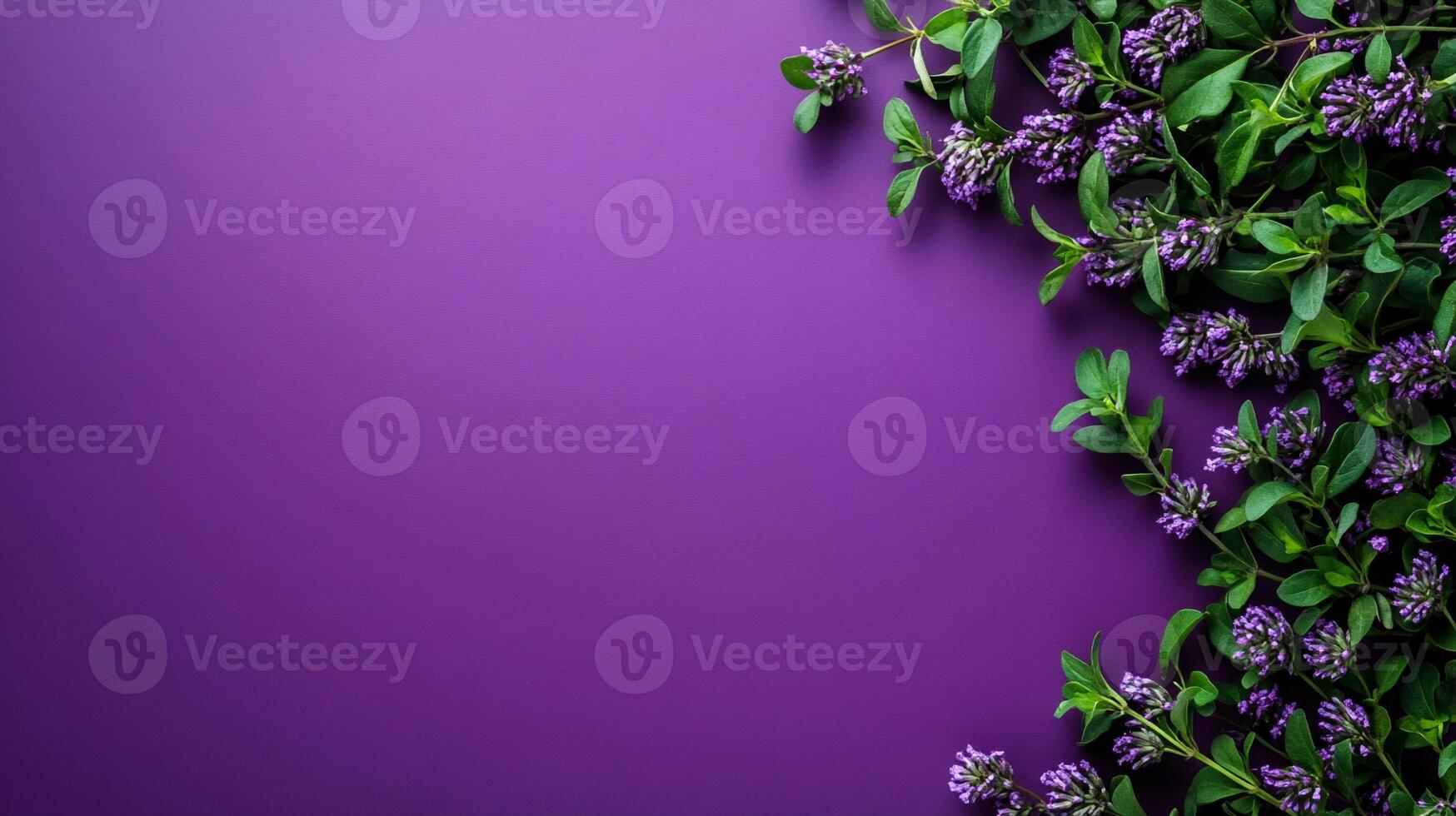 Thymus on a vibrant background, top view photorealistic flower photo