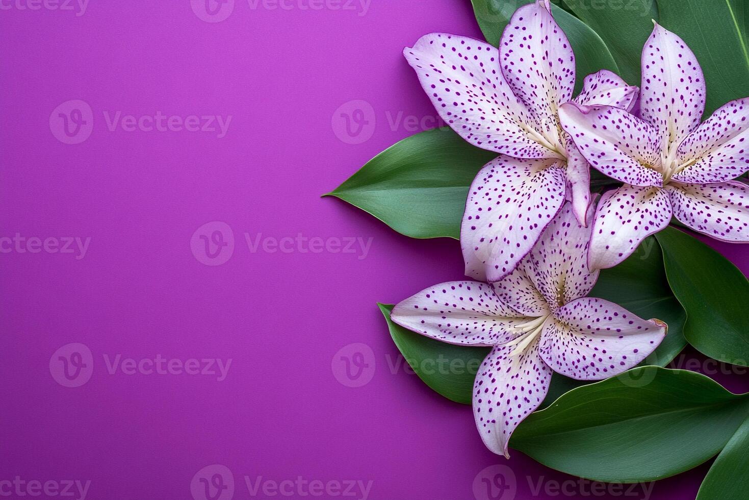 Top view photorealistic Tricyrtis, flower set on a vibrant background photo