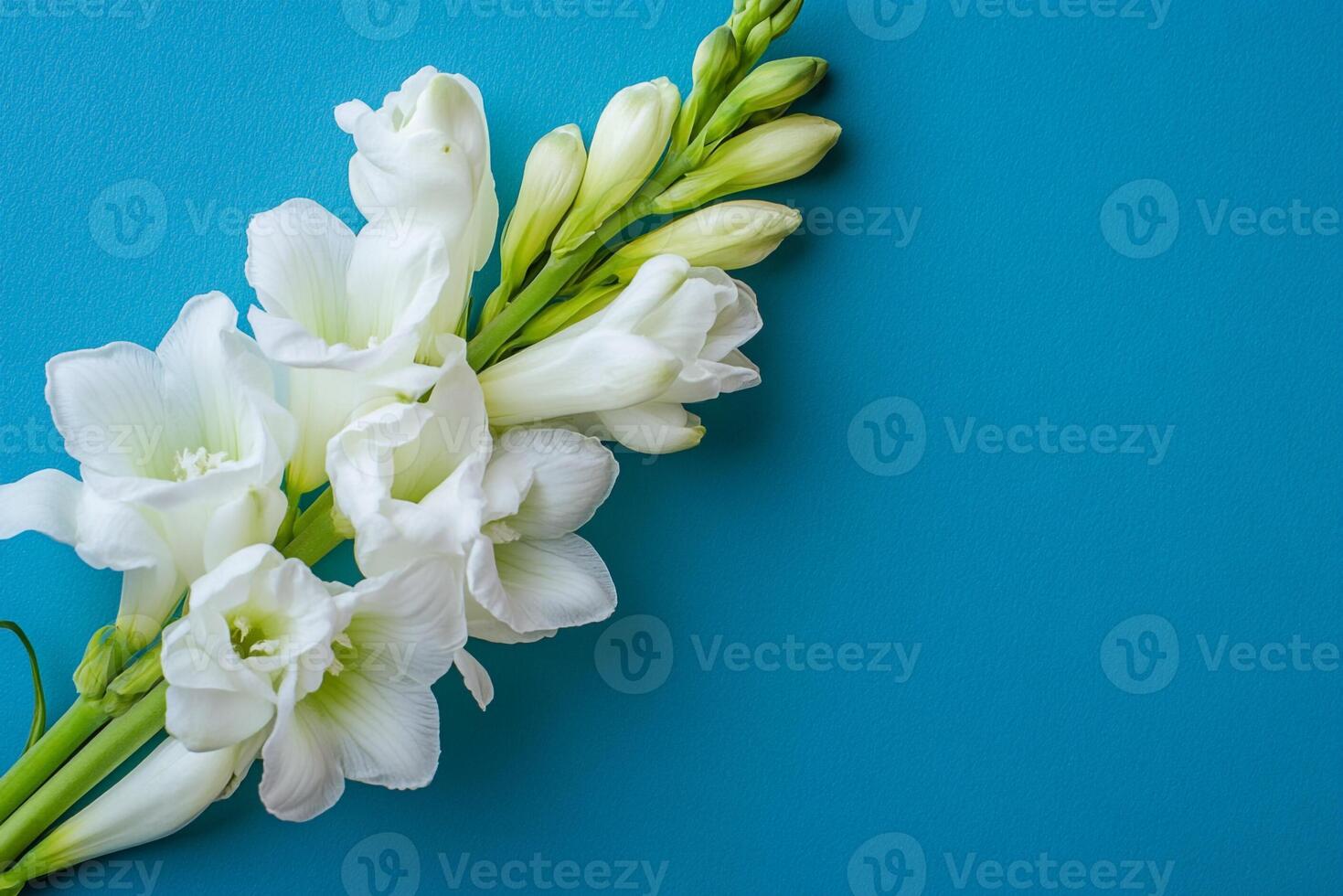 Tuberose on a vibrant background, top view photorealistic flower photo