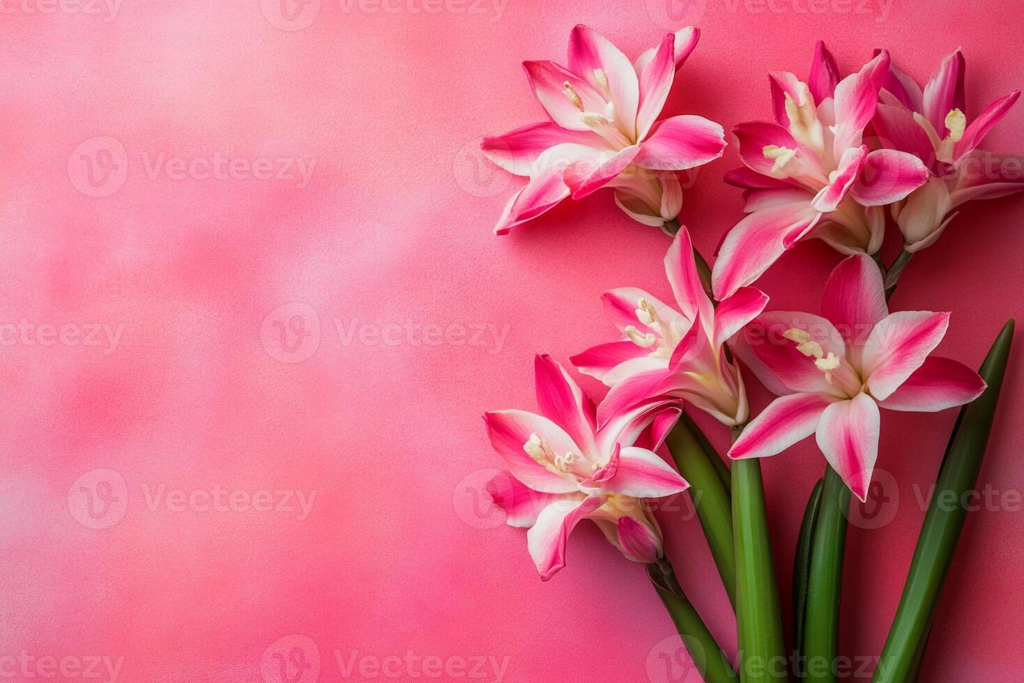 Top view Tuberose on a vibrant background, flower setting photo