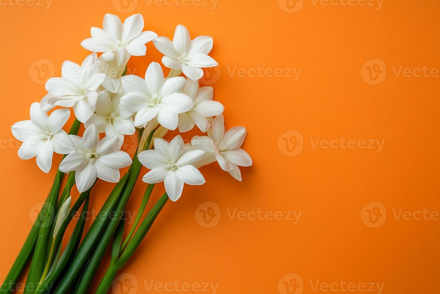Top view photorealistic Tuberose, flower set on a vibrant background photo