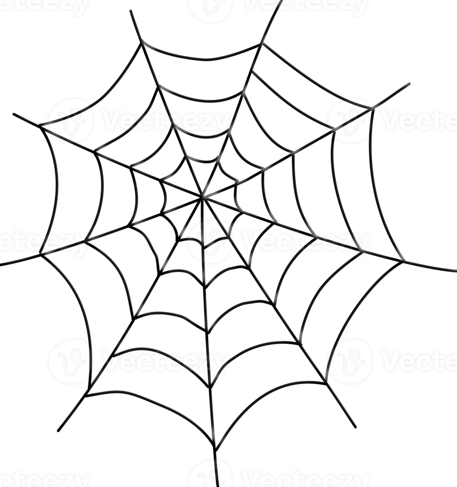 The spider web is depicted with thin, stark black lines forming a classic radial pattern with concentric rings, characteristic of a natural cobweb. png