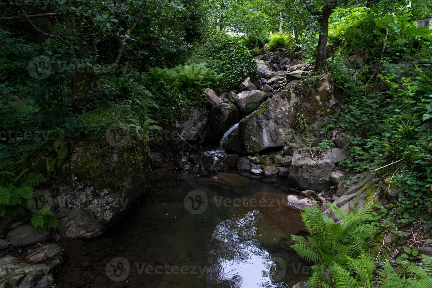 Mountain stream in the forest between large rocks. Georgia photo