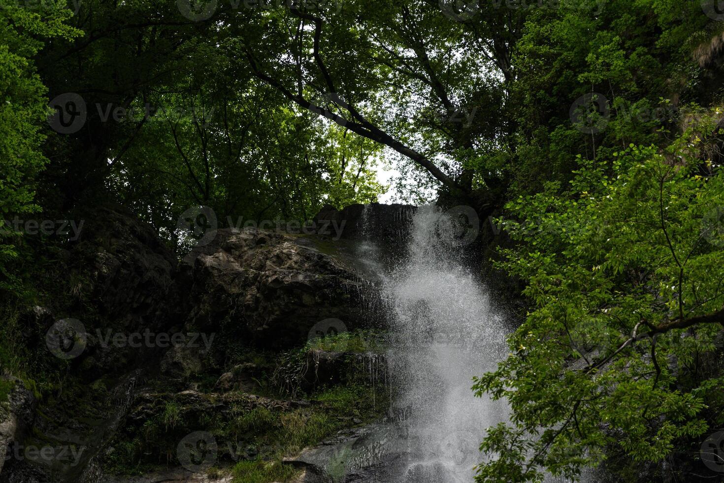 A small waterfall in the forest in the mountains of Georgia photo