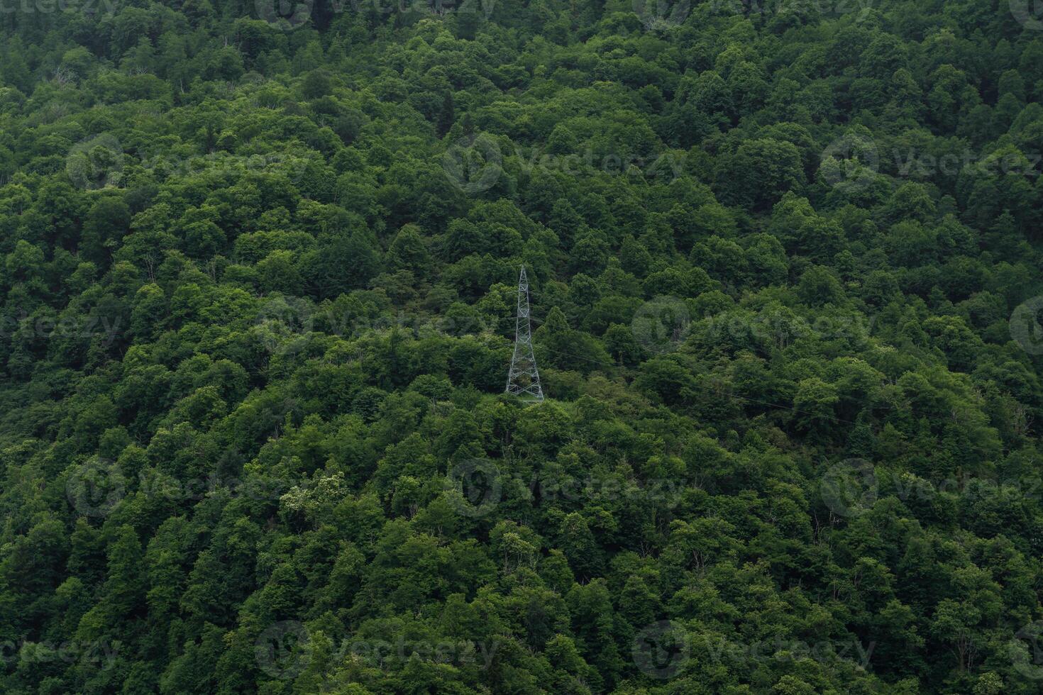 A lonely power line pole in the mountains in the forest, minimalism. Georgia photo