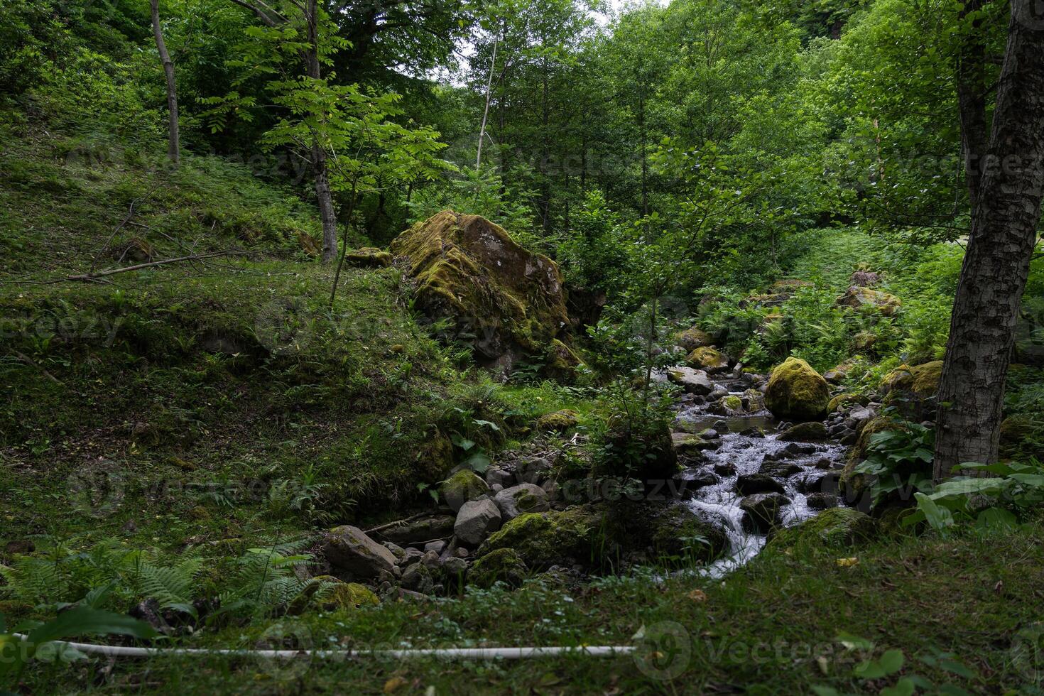A forest river flows between rocks in Georgia photo