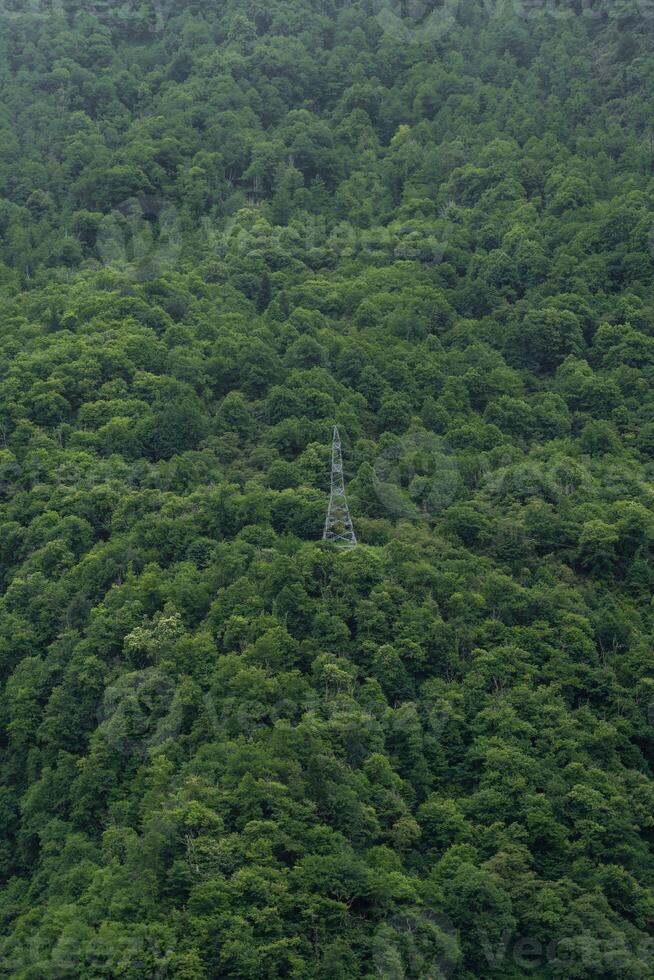 lonely power line pole in the mountains in the forest, minimalism. Georgia photo