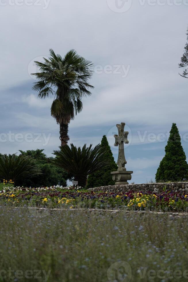 A cross and a palm tree with a view of the sky. Botanical Garden in Georgia photo