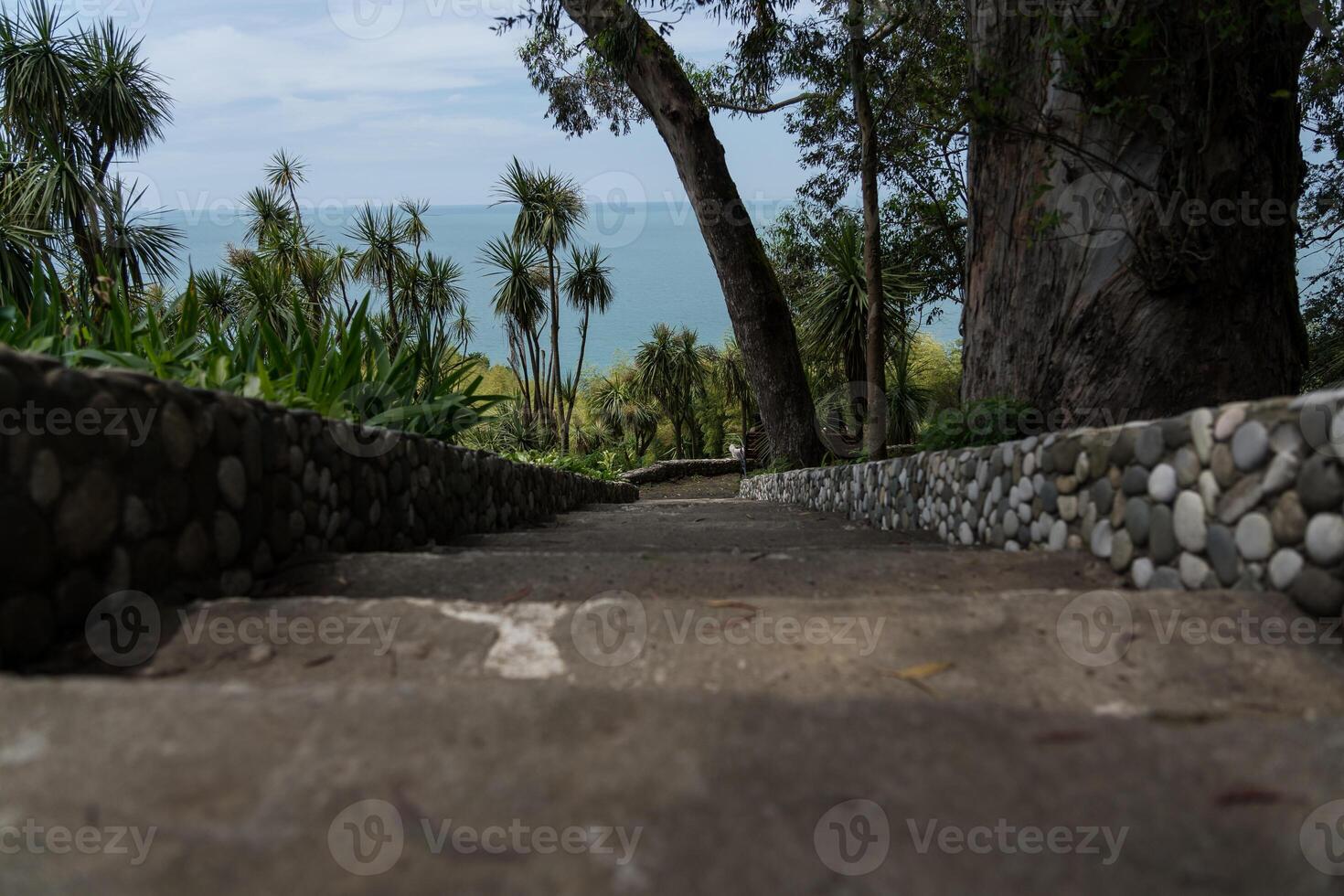 Steps down in the Botanical Garden of Georgia. View of the Black Sea photo