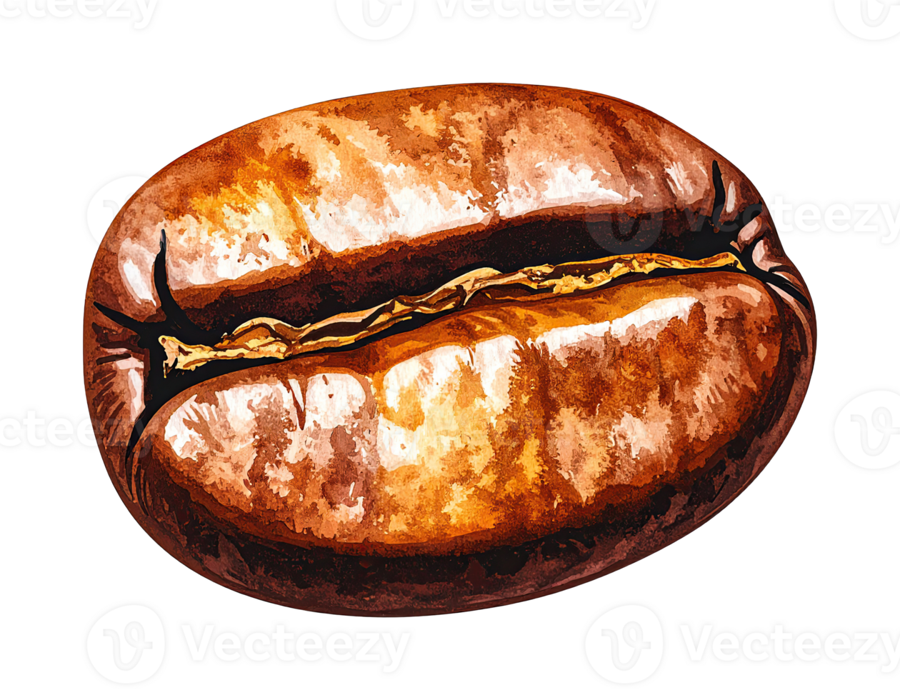 Watercolor illustration of roasted coffee bean png