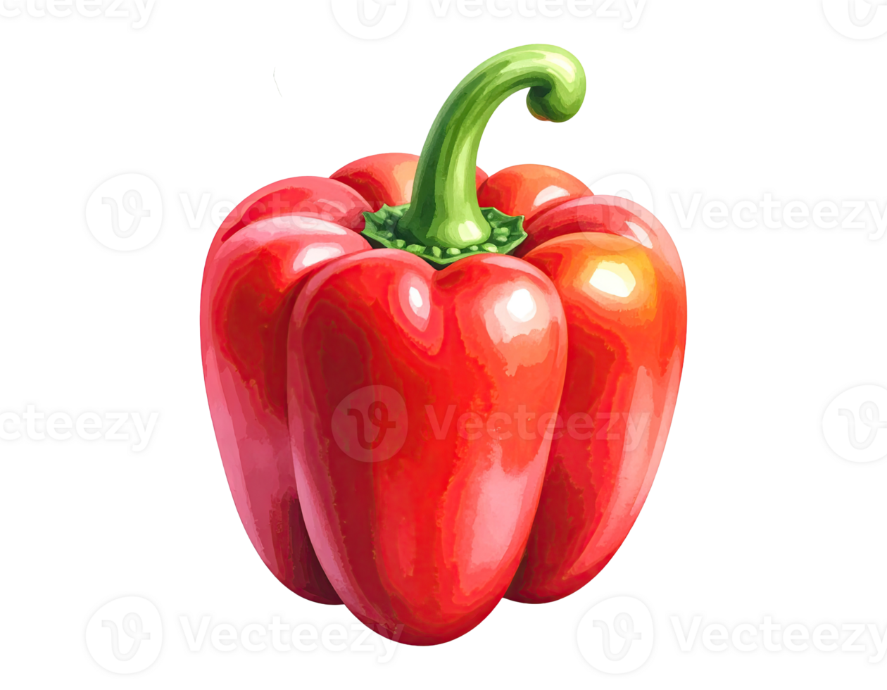 Watercolor illustration of colorful peppers png