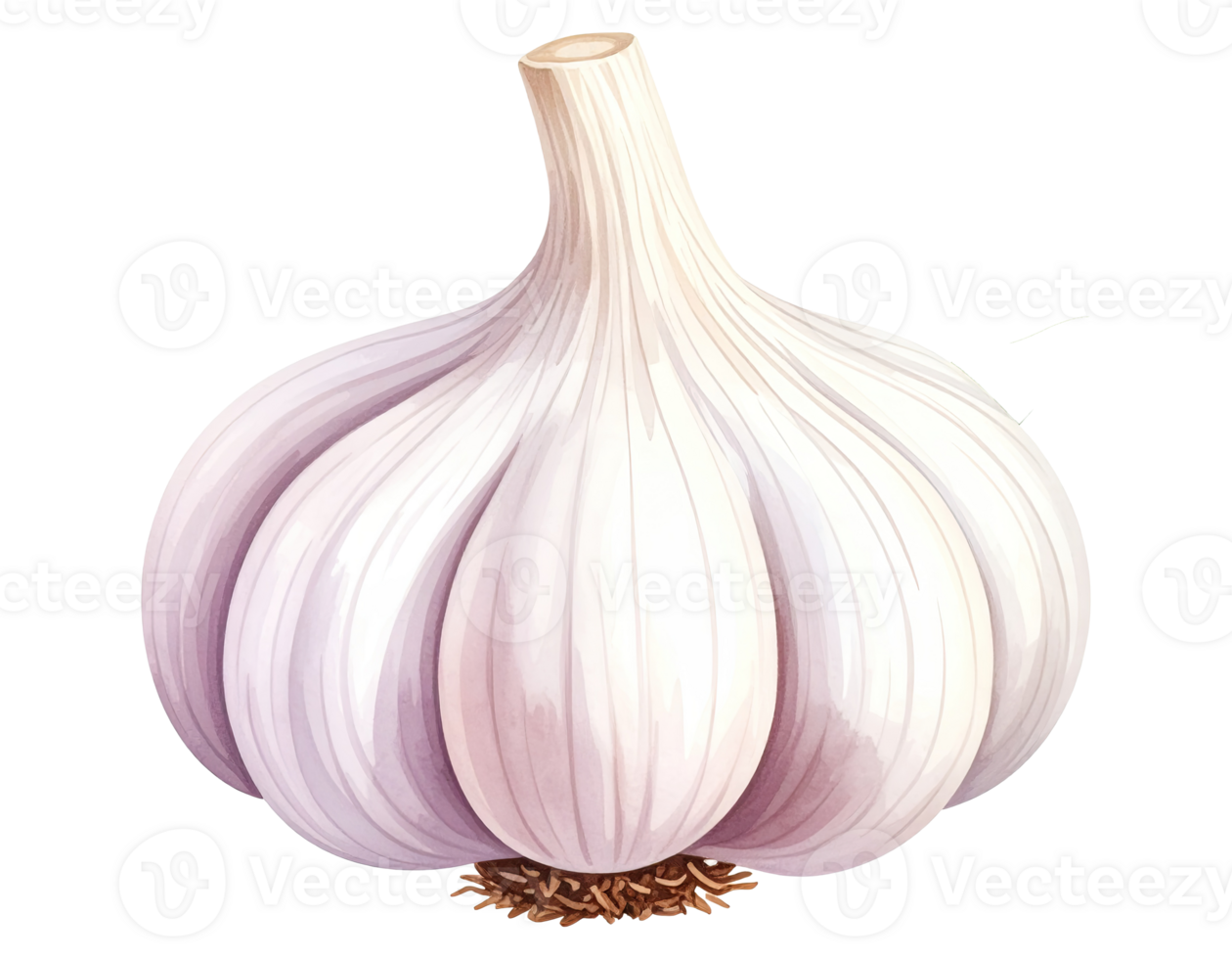 Hand-painted garlic in watercolor style png