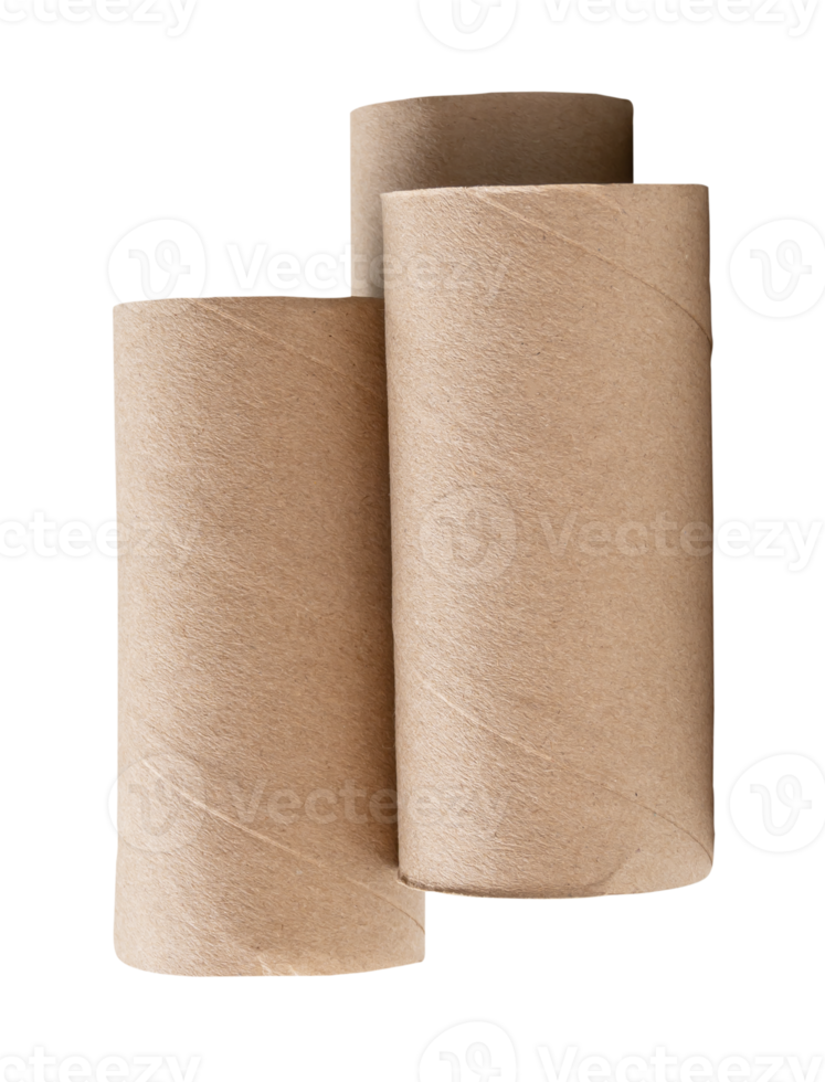 Top view of tissue paper cores or toilet paper tubes in vertical in stack isolated with clipping path in file format png