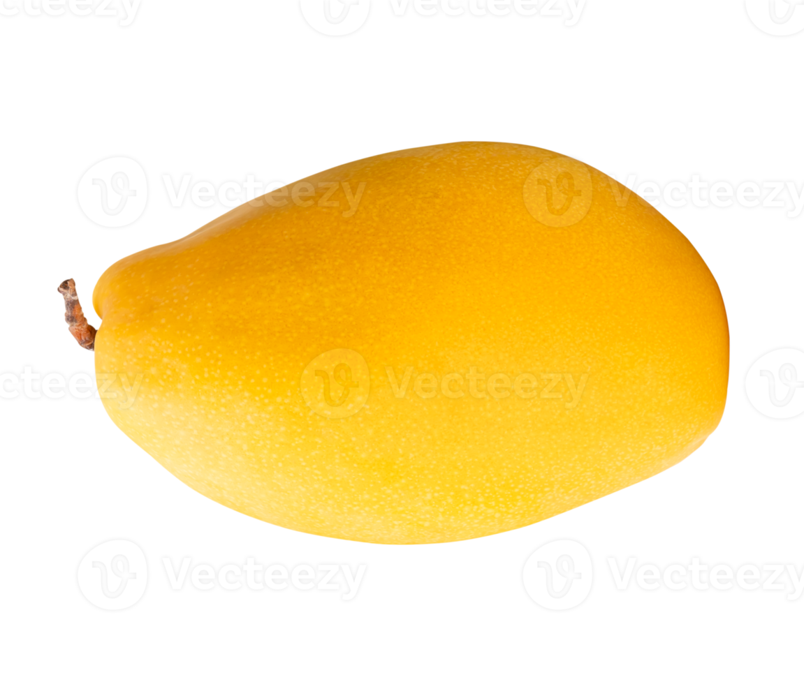 Horizon ripe yellow mango isolated with clipping path in file format png