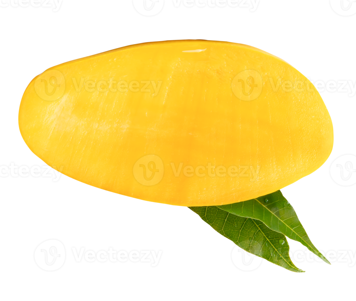 A half of ripe yellow mango fruit with green leaves in horizon isolated with clipping path in file format png