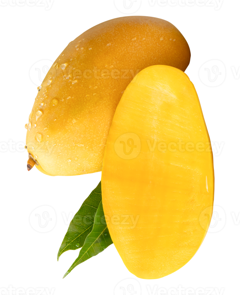 A ripe mango fruit and half with green leaves and water droplets in stack isolated with clipping path in file format png