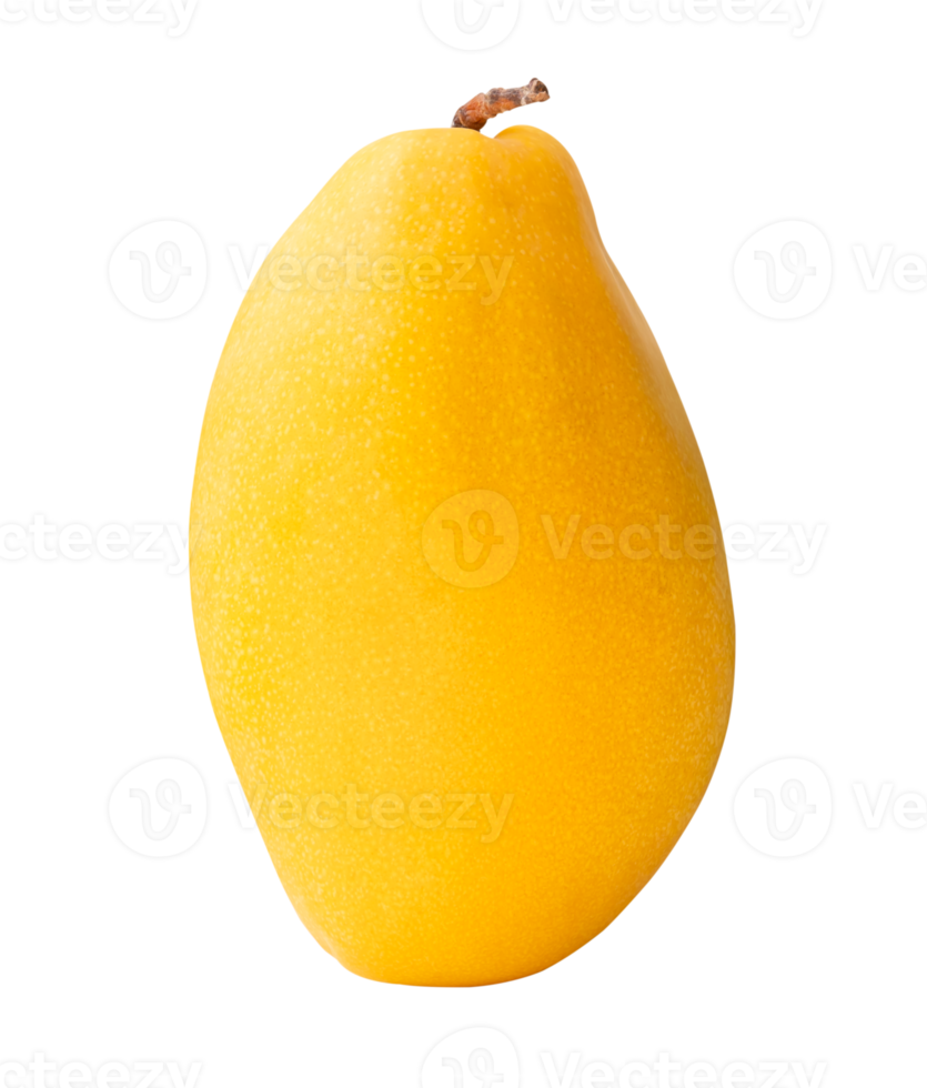 A ripe yellow mango in vertical isolated with clipping path in file format png